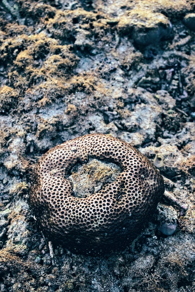 2D2915F8-B501-420C-95E9-81F86B1CB86F