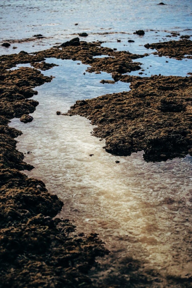 3746C7F5-360D-4796-93F1-6AC9D0A2C96E