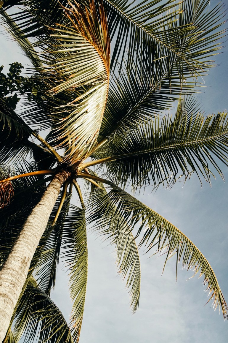 9BF35D94-3367-4D86-B3FF-FDE9F3863AC1